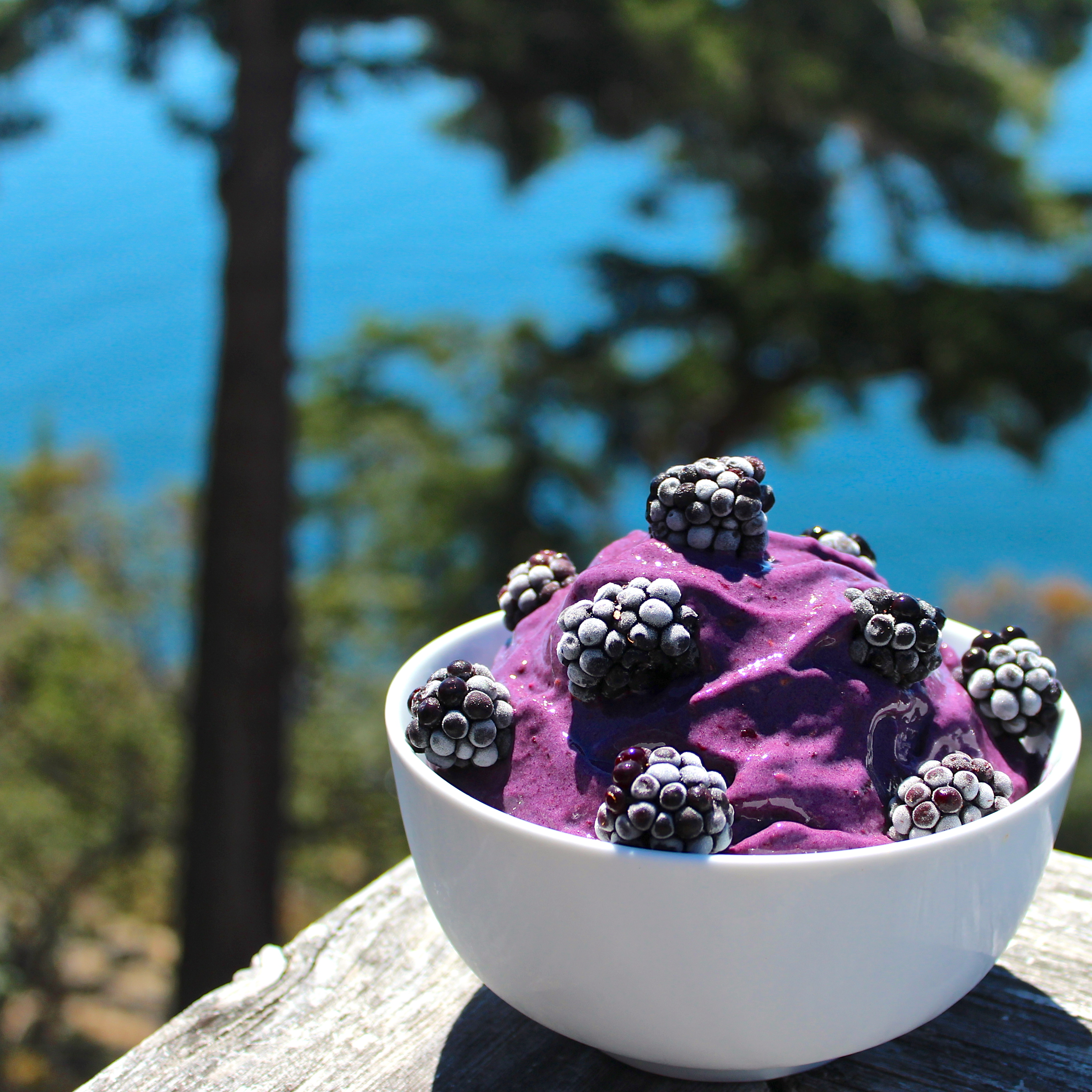 Blackberry Nice Cream (Dairy-Free, High Protein)