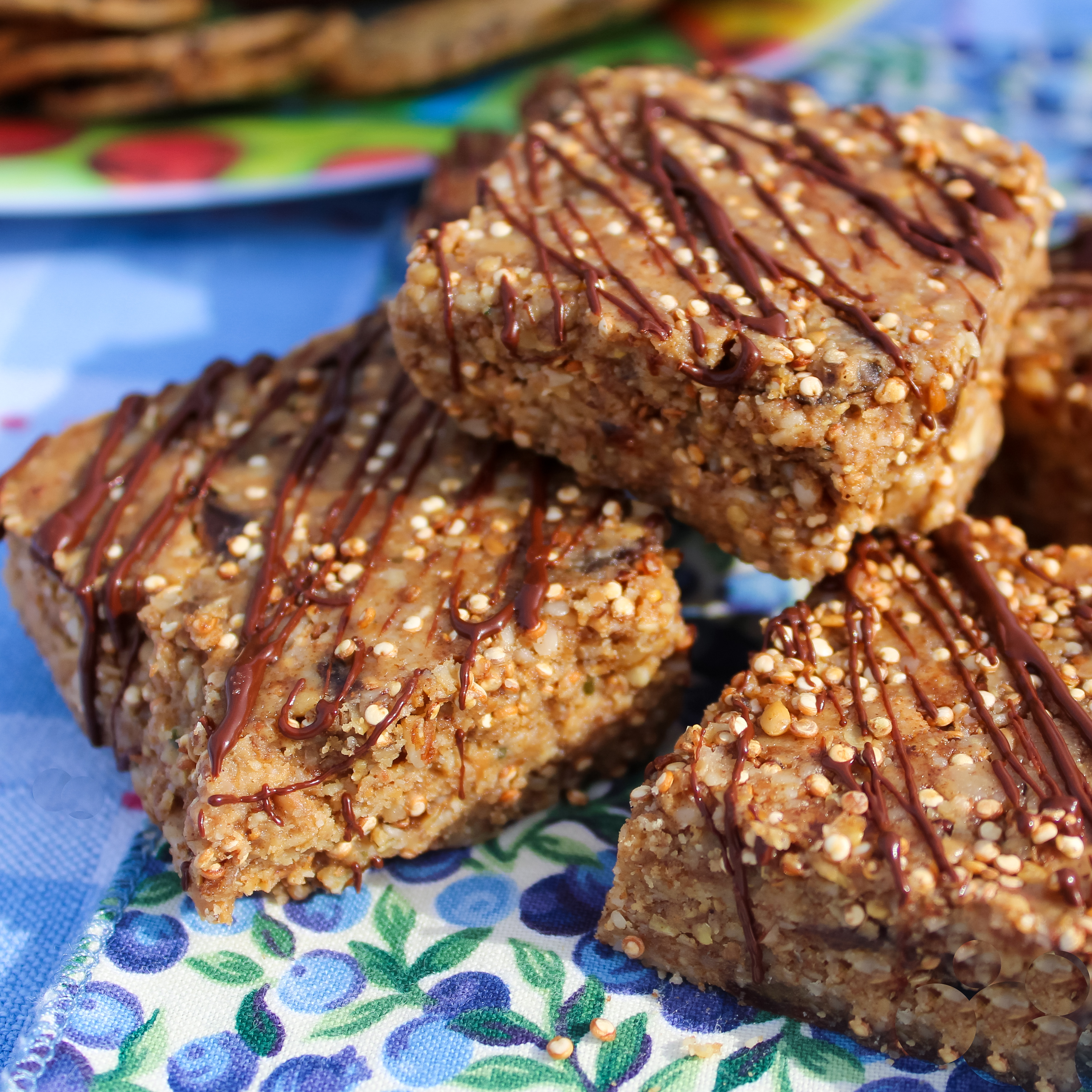 Trail Mix Granola Bars