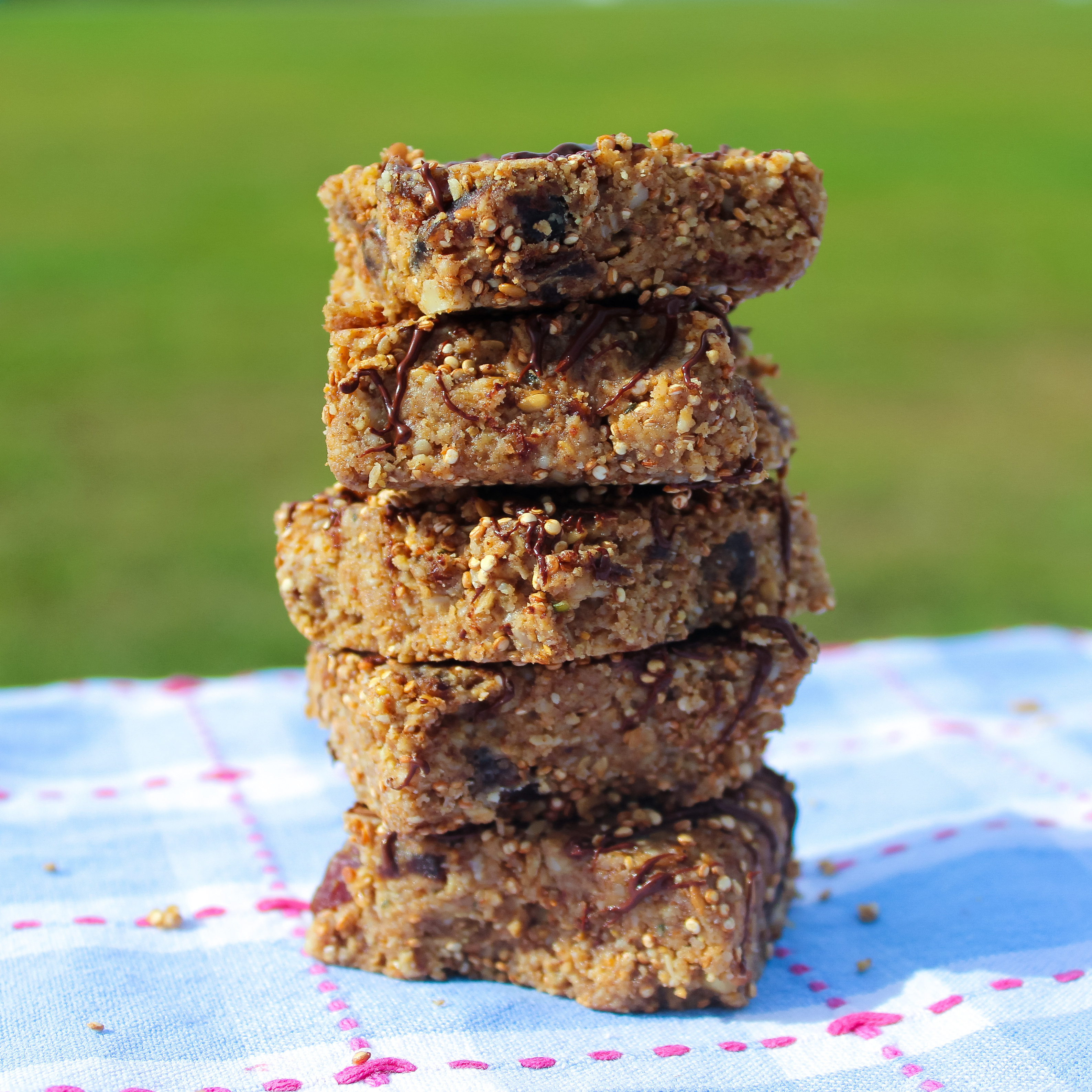 Trail Mix Granola Bars